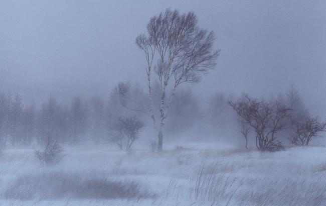 Синоптики предупреждают о тумане в западных областях Украины 27 января