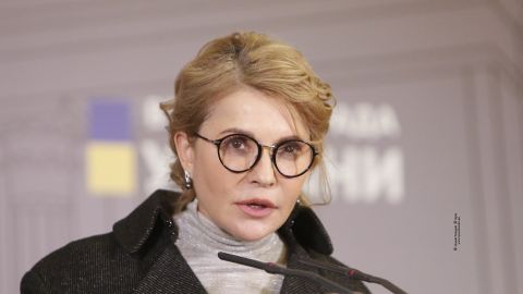Тимошенко во главе правительства способна вывести страну из кризиса - эксперт