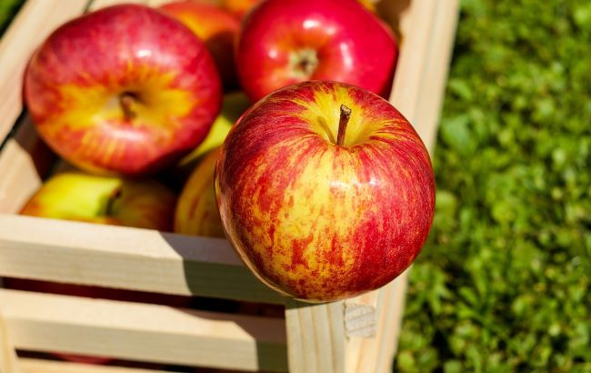 В Україні яблука подешевшали удвічі: названо вартість