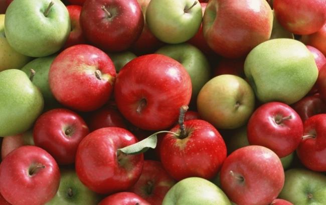 В обхід санкцій: білоруси надали РФ в п'ять разів більше яблук, ніж виростили