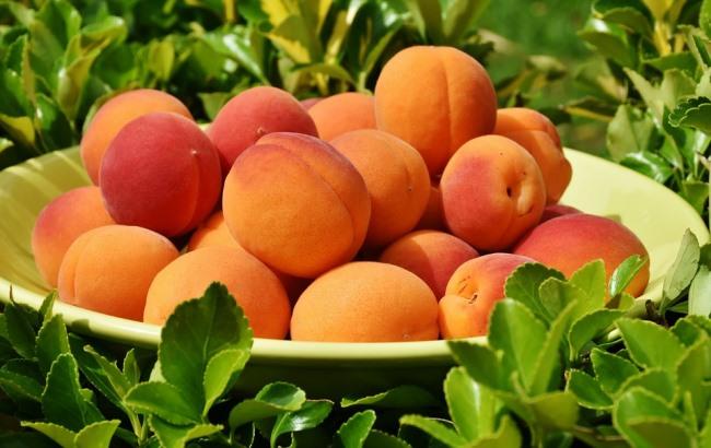 Диетологи рассказали, кому нельзя есть абрикосы