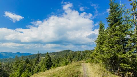 Снег на вершинах и переменчивая погода: что стоит знать, собираясь на отдых в Карпаты летом