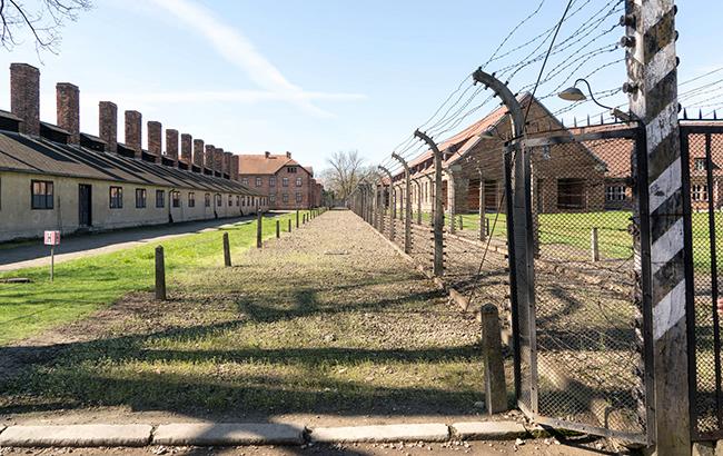 У Німеччині 94-річного охоронця Освенцима будуть судити як неповнолітнього
