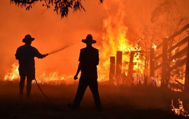 Мощные лесные пожары в Австралии сняли из космоса: масштаб катастрофы поражает