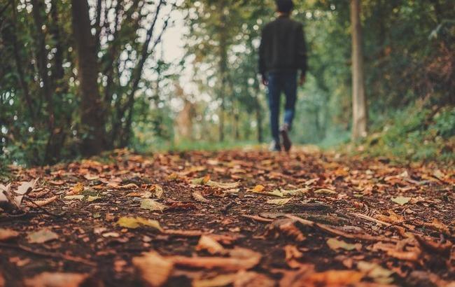 Синоптики уточнили прогноз погоды на вечер 10 ноября