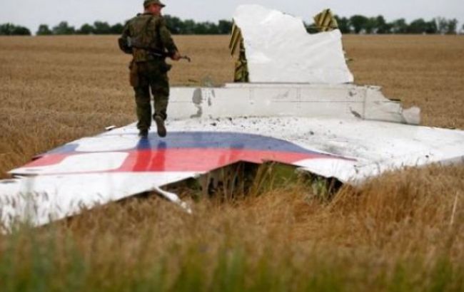 ЕСПЧ решит судьбу жалоб против Украины в деле по крушению Boeing не раньше осени