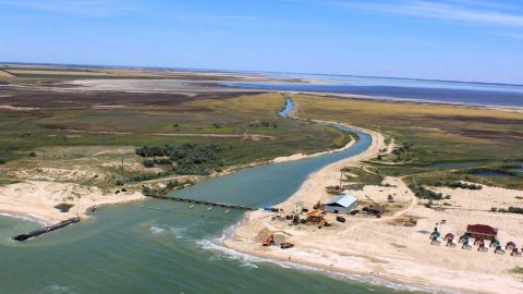 В Кирилловке заметили целое семейство удивительных птиц из Красной книги: яркое фото