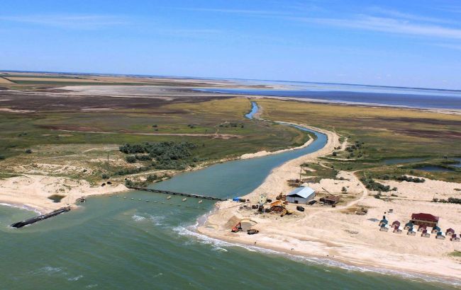 В Кирилловке заметили целое семейство удивительных птиц из Красной книги: яркое фото