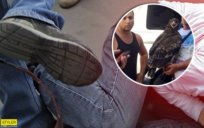 Розбій і грабіж: фотографи побили ногами туристів через знімки з орлами (відео)