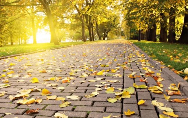 Погода на сегодня: в Украине без осадков, температура до +13