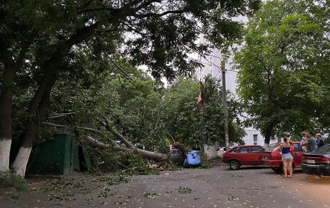Двое пострадавших и обрыв электросетей: последствия урагана в Одессе