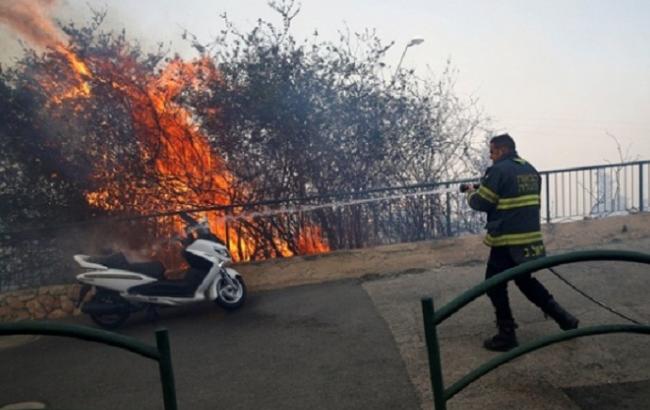 Пожар в Израиле: в Хайфе эвакуированы 50 тыс. человек