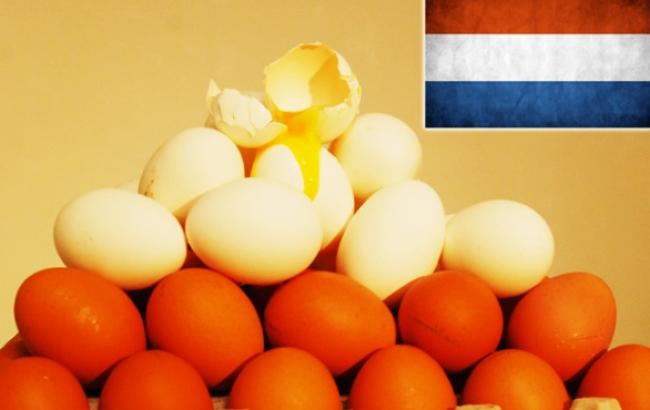 Россия ограничила поставки яиц и живой птицы из Нидерландов