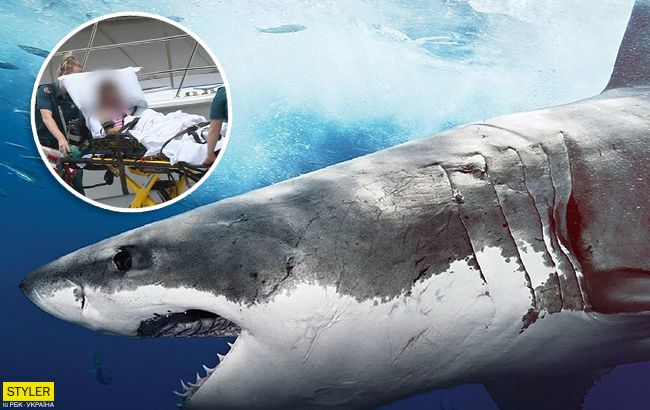 В Австралии акула напала на отдыхающих: есть пострадавшие