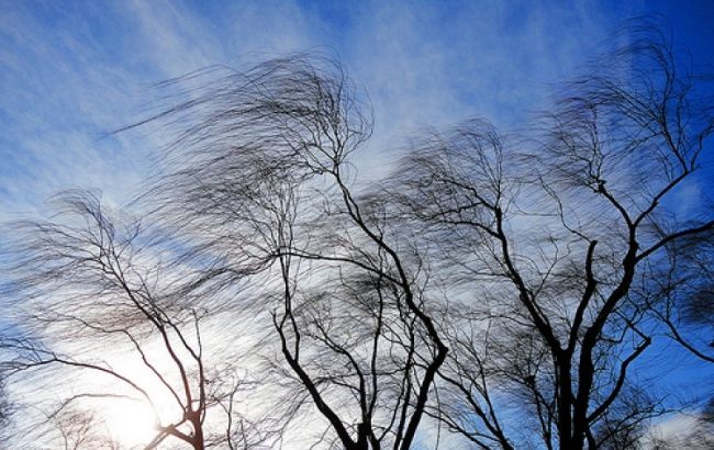 ГСЧС предупреждает о сильных порывах ветра на юге и востоке Украины