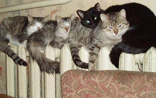 В Луганске отапливаются 460 жилых домов, - мэрия