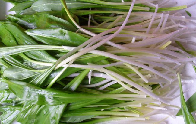 Весенний украинский суперфуд, который надо есть всем: стоит всего 20 гривен