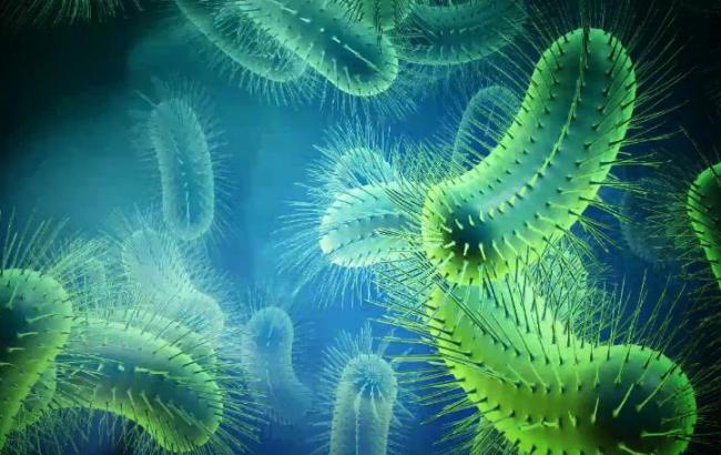 Ученые рассказали, какой предмет самый грязный в доме