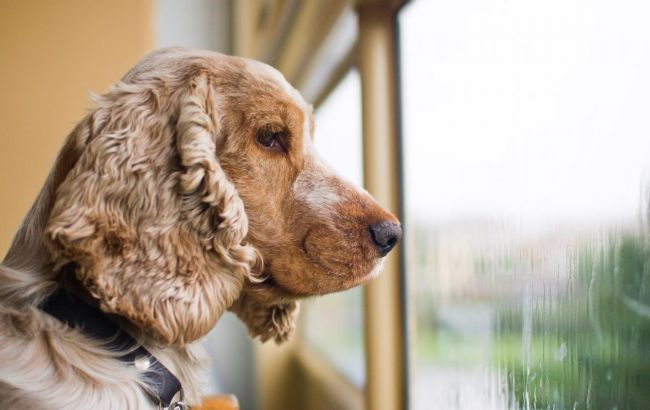 Погода на сьогодні: в Україні місцями дощі, температура до +31