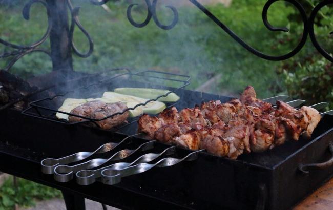 Сезон шашлыков открыт: появилась карта разрешенных зон для пикников в Киеве