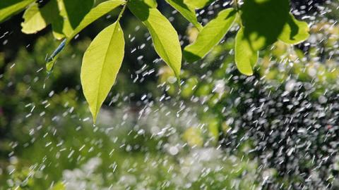 Приготуйте парасольки: Україну накриють дощі