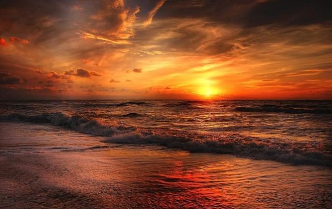 В Таиланде на пляж вынесло странного "мутанта" (видео)