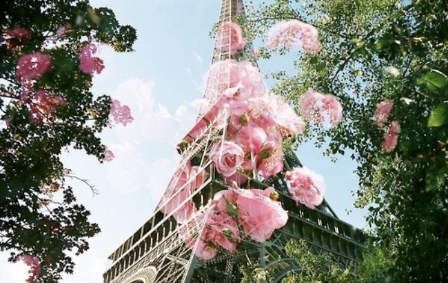 В Киеве установили цветочную Эйфелеву башню