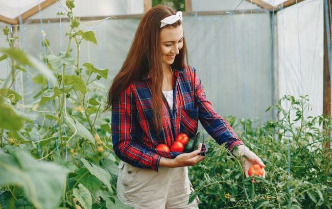 Как сделать теплицу на балконе и выращивать овощи зимой