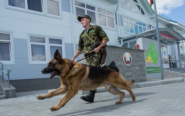 В Луганской области задержали 9 украинцев за попытку контрабанды меда в РФ