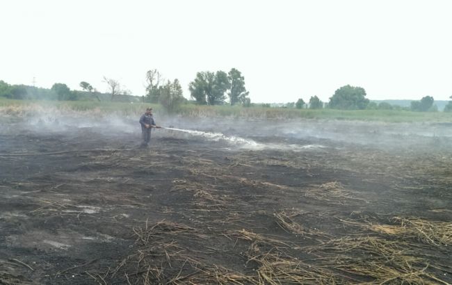 У Київській області горять торфовища