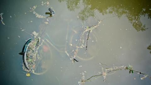 Вчителька з США очищає русло річки в Тернопільській області