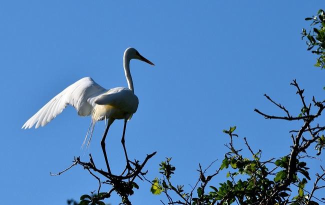 17 апреля: все праздники на сегодня