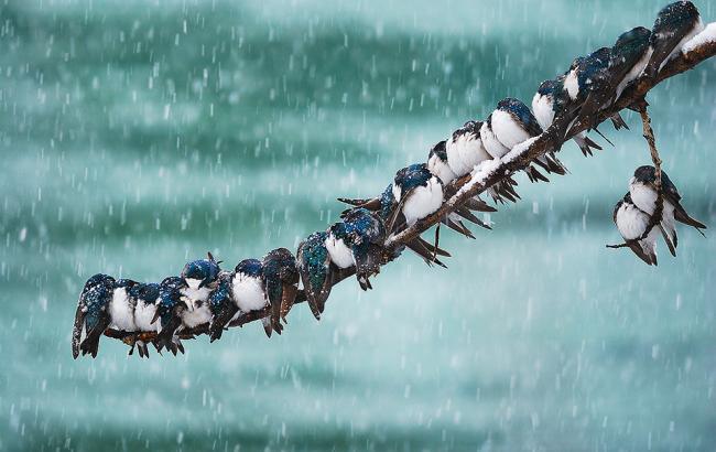 Погода на сегодня: на востоке и западе Украины дождь с мокрым снегом, температура до +5