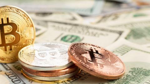 Кража биткоинов на 3 млн гривен. Украинке грозит 12 лет тюрьмы