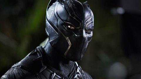 Супергеройский фильм помог черным кошкам обрести дом