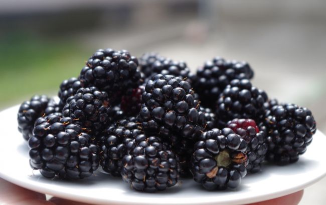 Полезная ежевика: сколько ягод нужно съесть в день, чтобы улучшить свое здоровье