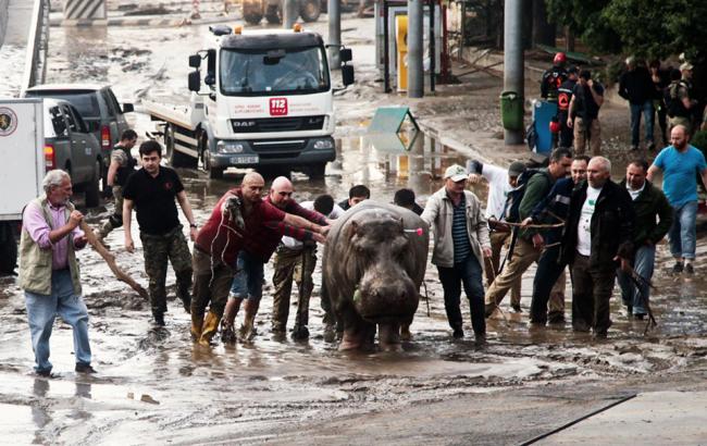 Число жертв наводнения в Тбилиси выросло до 15