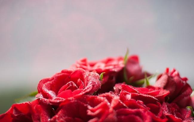 18 липня: свята і важливі події на цей день