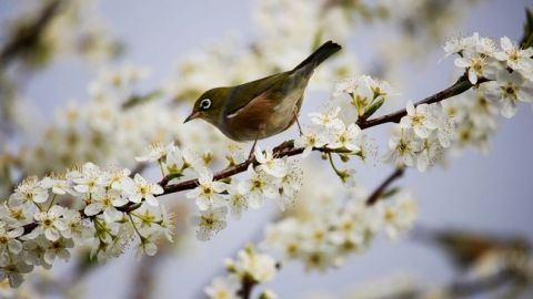 Температурные качели: синоптики дали прогноз погоды на начало апреля