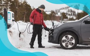 Екотрансформація по-шведськи: як турбота про довкілля стає частиною щоденного вибору