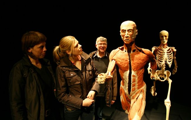 В Киеве впервые везут всемирно известную выставку человеческих тел 