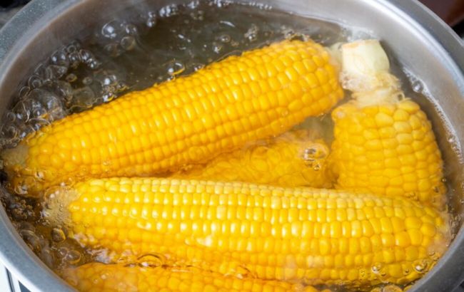 Эти простые способы помогут заморозить кукурузу на зиму: ее вкус не изменится