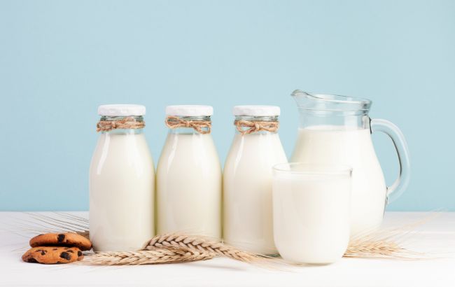 Какое молоко самое полезное: врач рассказала, где больше всего кальция и белка