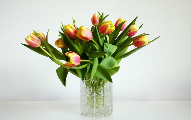 Що зробити, щоб тюльпани були свіжими якомога довше: прості правила