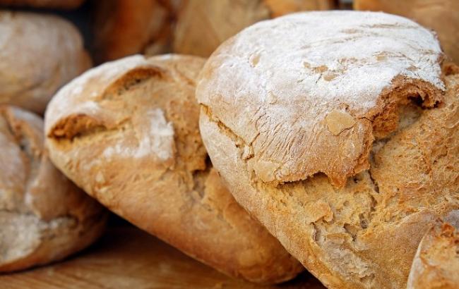 Вчені відкрили найдавніший рецепт хліба, який робили первісні люди