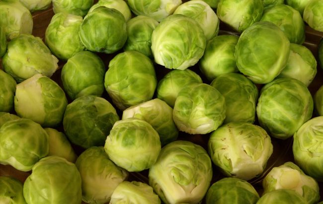 Не опоздайте: когда оптимально сеять брюссельскую капусту на рассаду