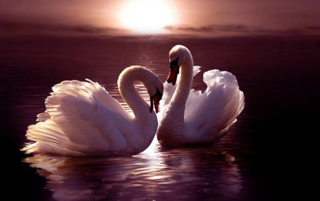 Гороскоп на сьогодні, 11 листопада