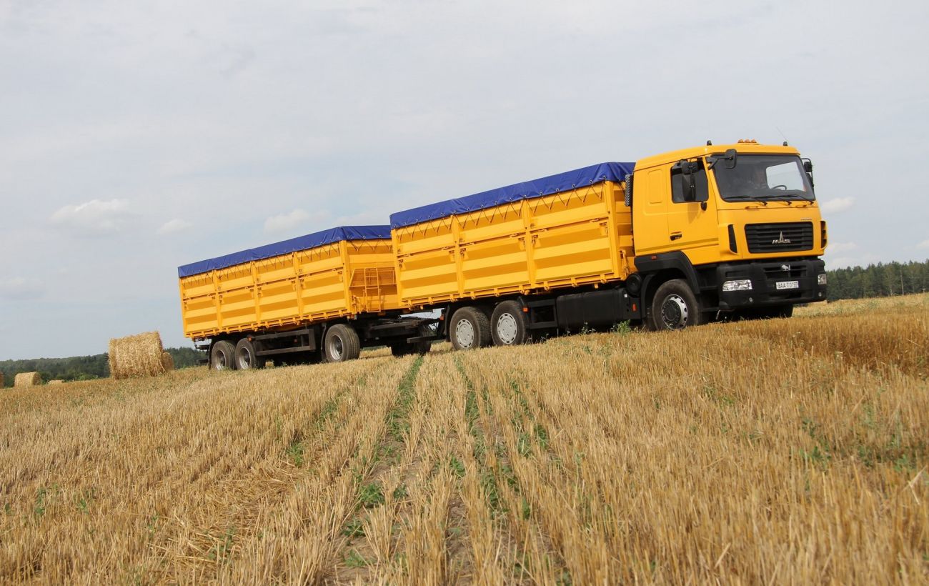 С начала войны из Украины в РФ вывезено около 500 тысяч тонн зерна, — Минагрополитики