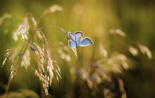 Спека і дощі: синоптики уточнили прогноз на понеділок