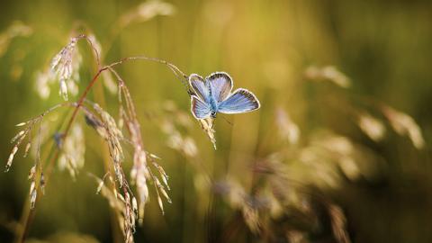"Ще трохи": синоптик розповіла, коли в Україну повернеться тепло